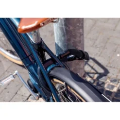 AbusACH IVY 6KS/100 - Antivol vélo