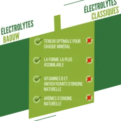 BaouwCitron Vert-Menthe - Boisson énergétique