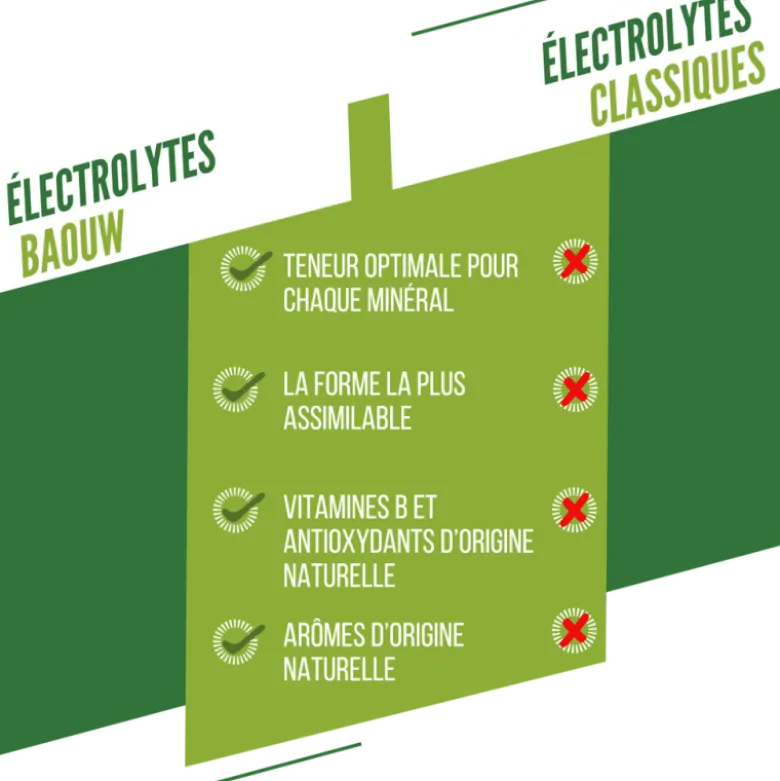 BaouwCitron Vert-Menthe - Boisson énergétique