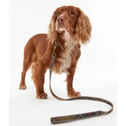 BarbourReflective Tartan Dog Lead - Laisse pour chien