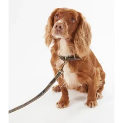 BarbourReflective Tartan Dog Lead - Laisse pour chien