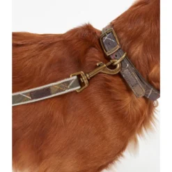 BarbourReflective Tartan Dog Lead - Laisse pour chien