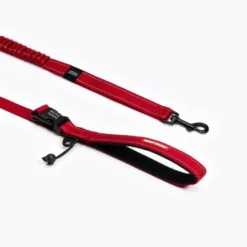 EzyDogRoad Runner Leash - Laisse pour chien