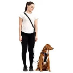 EzyDogVario 6 - Laisse pour chien