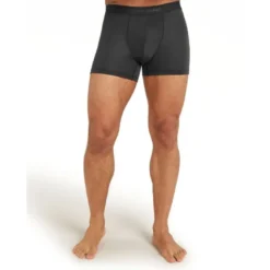 icebreakerAnatomica Boxers - Boxer homme