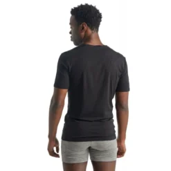 icebreakerAnatomica Short Sleeve col V en Mérinos - T-shirt en laine mérinos homme