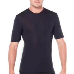 icebreakerMerino 175 Everyday SS Crewe - T-shirt en laine mérinos homme