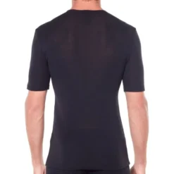 icebreakerMerino 175 Everyday SS Crewe - T-shirt en laine mérinos homme