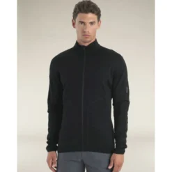 icebreaker560 RealFleece Elemental II LS Zip - Polaire en laine mérinos homme