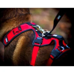 I-DogConfort Trek - Harnais pour chien