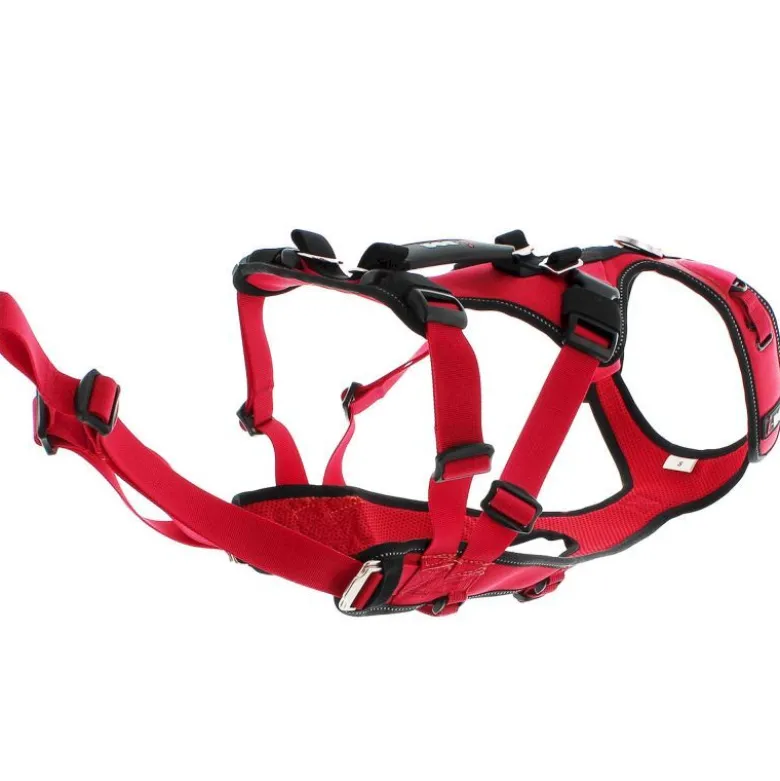 I-DogConfort Trek - Harnais pour chien