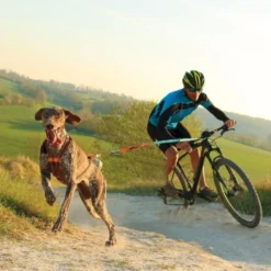 I-DogX-Back One 2.0 - Harnais pour chien
