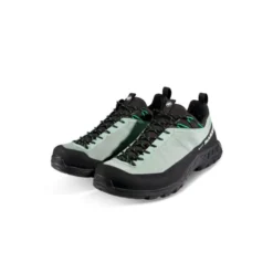 MammutAlnasca IV Low GTX - Chaussures approche homme