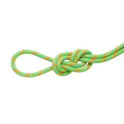 Mammut8.0 Alpine Dry - Corde à double