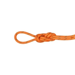 Mammut8.0 Alpine Dry - Corde escalade