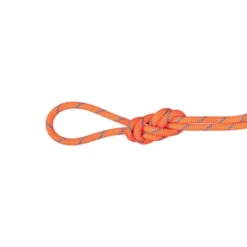 Mammut7.5 Alpine Sender Dry - Corde à double