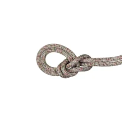 Mammut9.5 Crag We Care Classic - Corde à simple