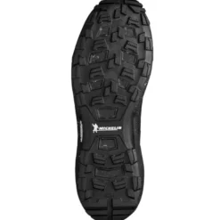 MilletIntense GTX - Chaussures trail homme