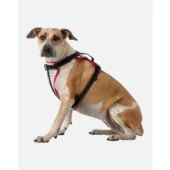 NathanK9 Reflective Dog Harness - Harnais pour chien
