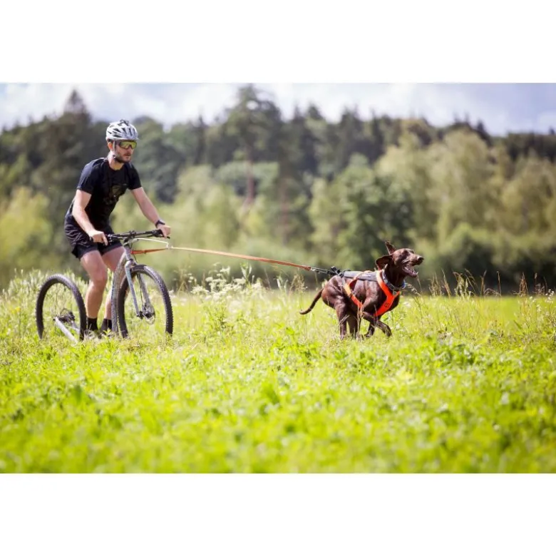Non-stop dogwearFreemotion Harness 5.0 - Harnais pour chien