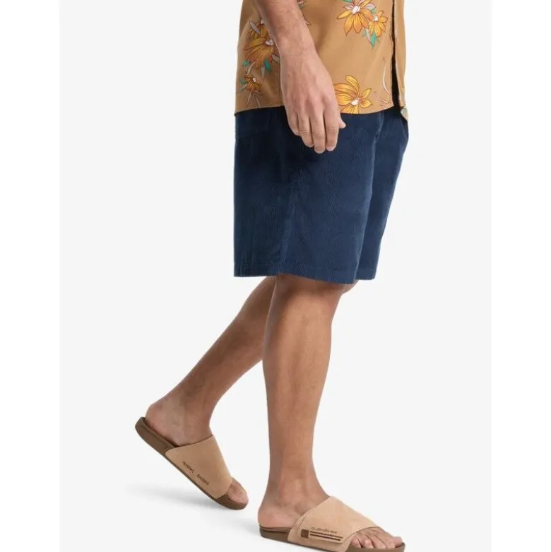 QuiksilverTaxer 18" - Short homme
