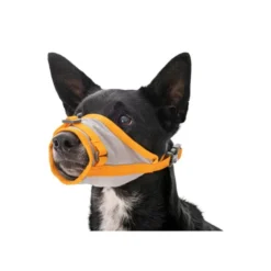 RuffwearBackTrak Dog Evacuation Kit - Harnais pour chien