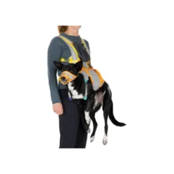 RuffwearBackTrak Dog Evacuation Kit - Harnais pour chien