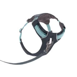 RuffwearHi & Light Harness - Harnais pour chien