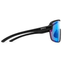 SmithBobcat Cat 1 - Lunettes vélo